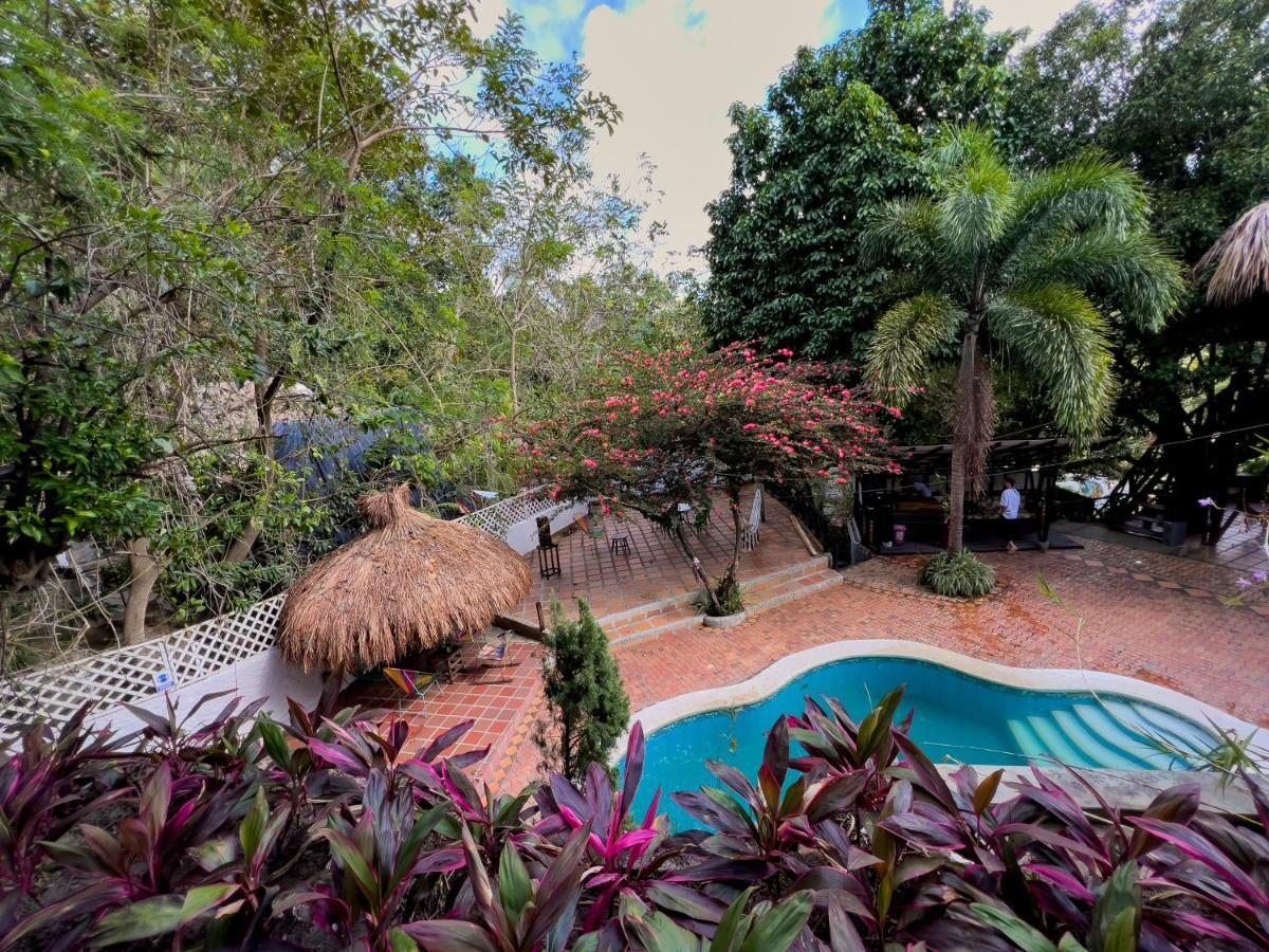 Lodge Cacao El Zaino Exterior photo
