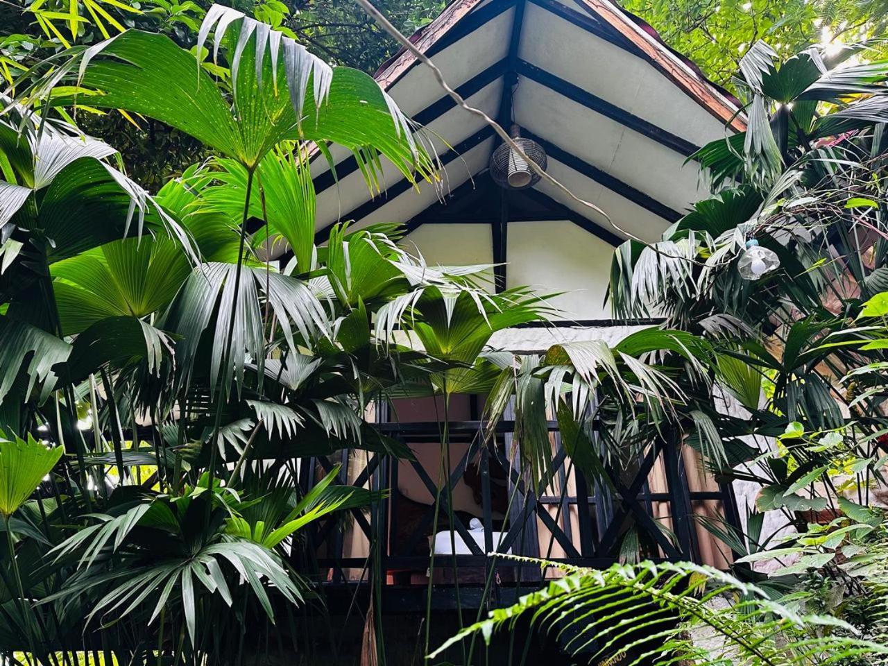 Lodge Cacao El Zaino Exterior photo