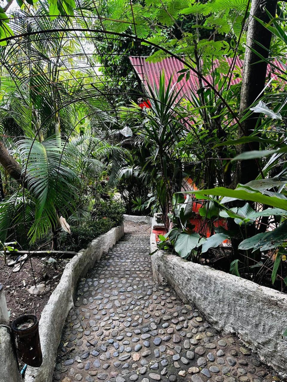 Lodge Cacao El Zaino Exterior photo