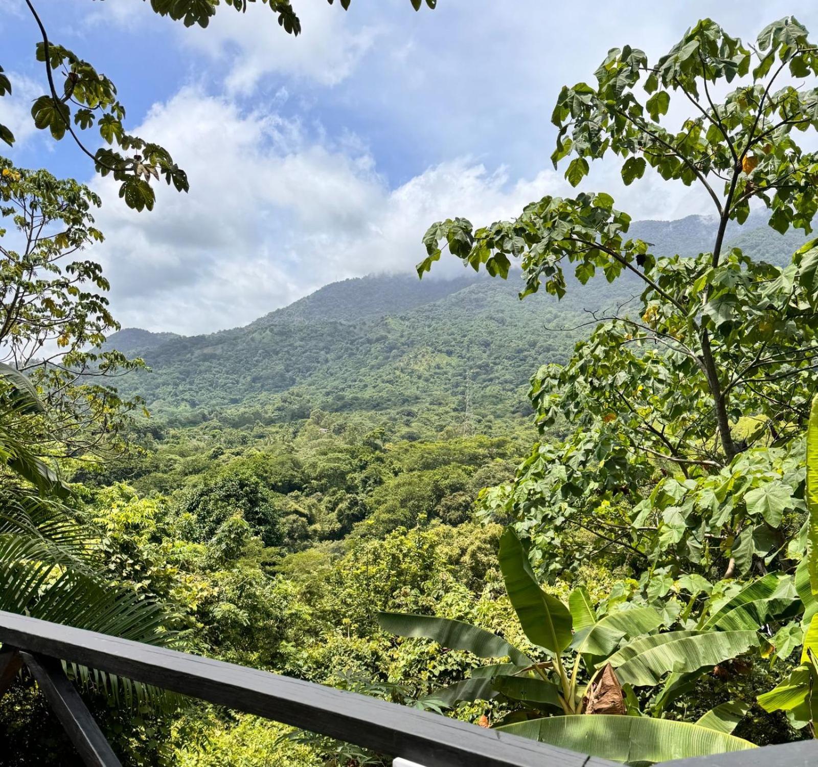 Lodge Cacao El Zaino Exterior photo